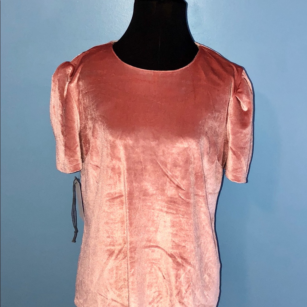 WAYF pink velvet short sleeve top size large NWT